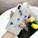 Real Dried Flower Case For iPhone
