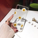 Qianliyao Dried Real Flower  iPhone