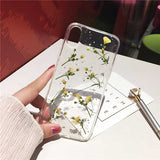 Qianliyao Real Dried Flower Cases For iPhone